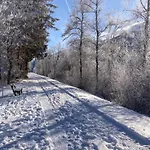 Alp Prázdninový dům Gundersheim