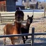 Alp Prázdninový dům *