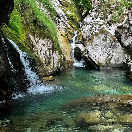 Vakantiehuis Alp *