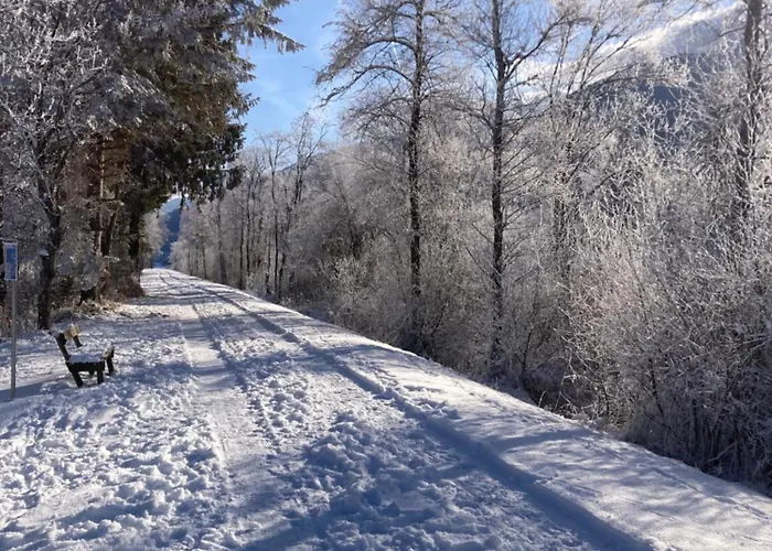 Alp Dom wakacyjny Gundersheim