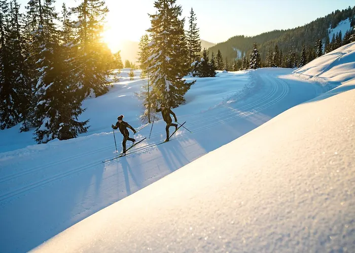 Alp Dom wakacyjny Gundersheim